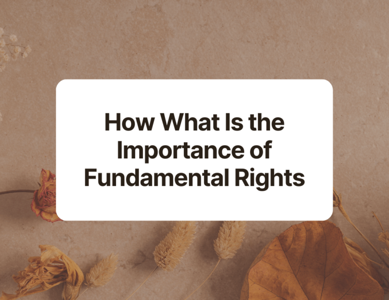 how what is the importance of fundamental rights