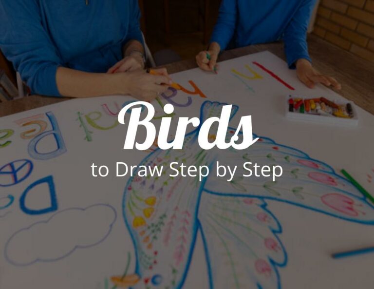 How to Draw a Mockingbird: Fun Birds to Draw Step by Step with Free Bird Printable