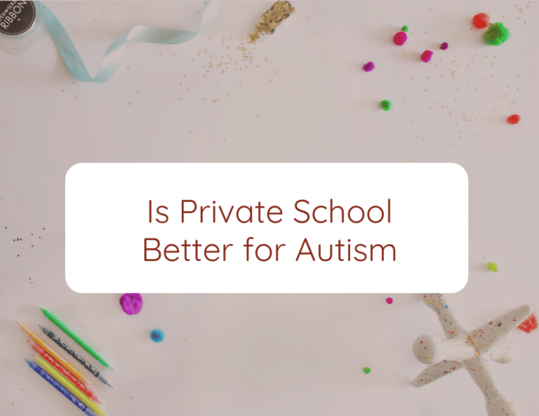 Is private school better for autism?