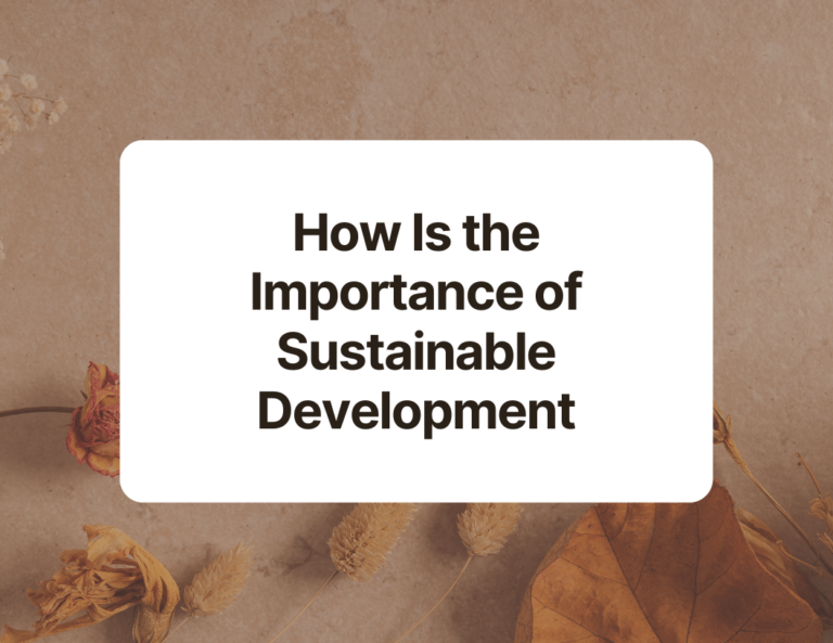 how is the importance of sustainable development