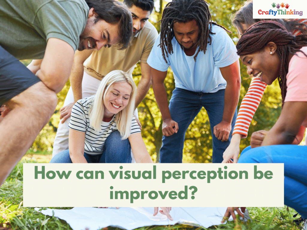 What Does Visual Perception Mean