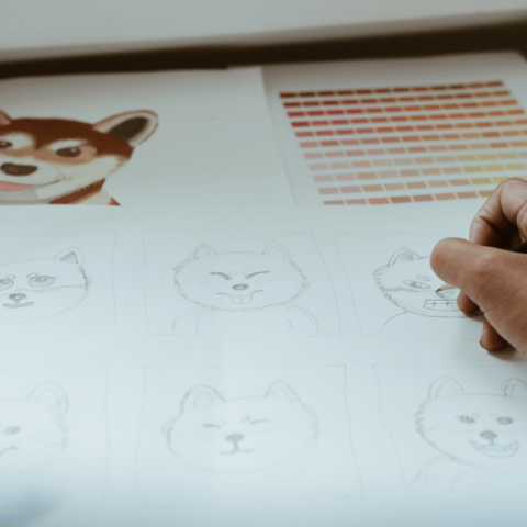 How to Sketch Animals: A Step-by-Step Guide