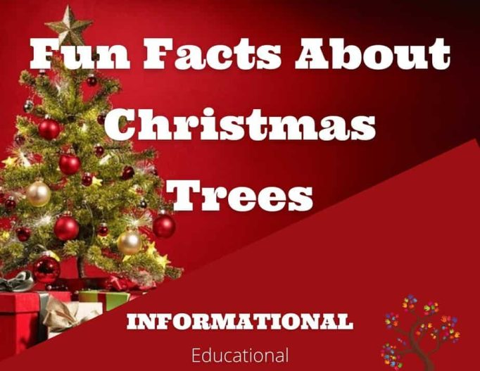 Fun Facts About Christmas Trees