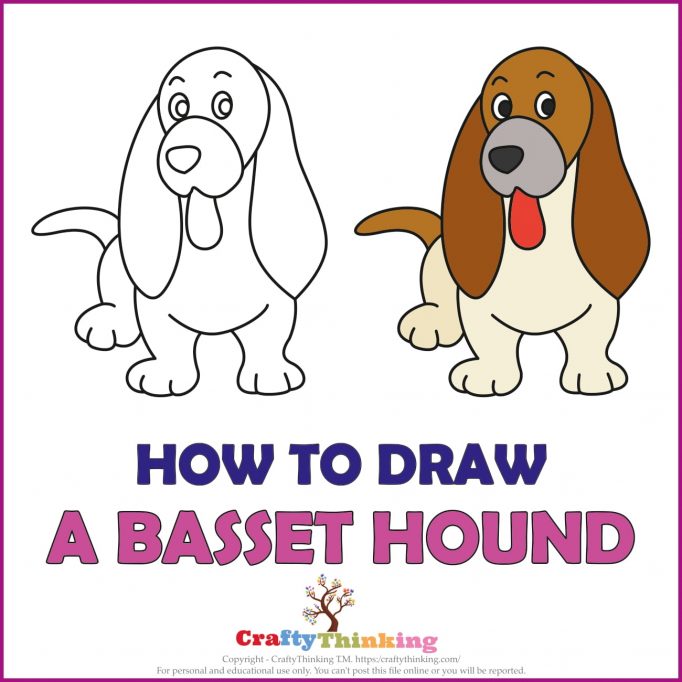 How to Draw a Basset Hound