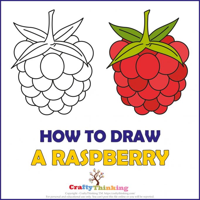 How to draw a Raspberry